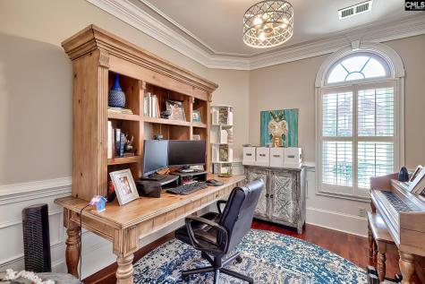 217 Palm Lake Drive Columbia SC 29212-8747