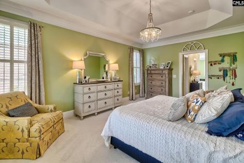 217 Palm Lake Drive Columbia SC 29212-8747