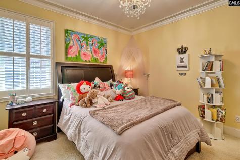 217 Palm Lake Drive Columbia SC 29212-8747