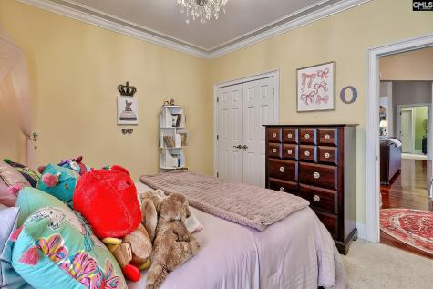 217 Palm Lake Drive Columbia SC 29212-8747
