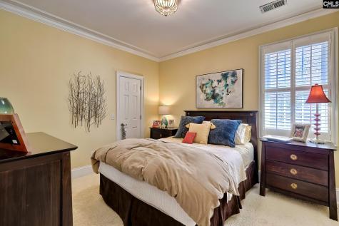 217 Palm Lake Drive Columbia SC 29212-8747