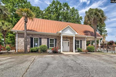 217 Palm Lake Drive Columbia SC 29212-8747