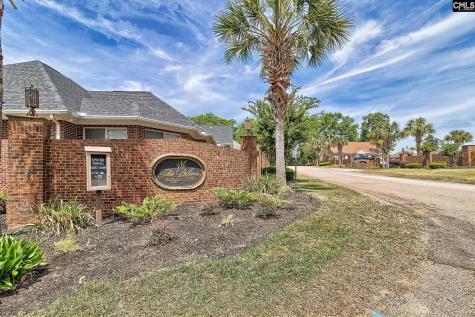 217 Palm Lake Drive Columbia SC 29212-8747