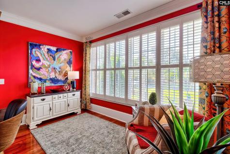 217 Palm Lake Drive Columbia SC 29212-8747