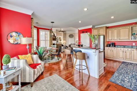 217 Palm Lake Drive Columbia SC 29212-8747