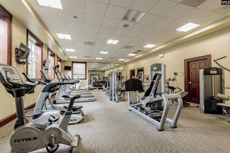 193 Crimson Queen Drive Blythewood SC 29016