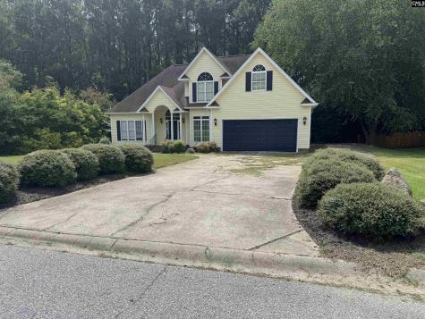 116 Rum Gully Lane Chapin SC 29036