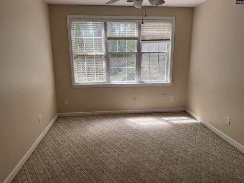 116 Rum Gully Lane Chapin SC 29036