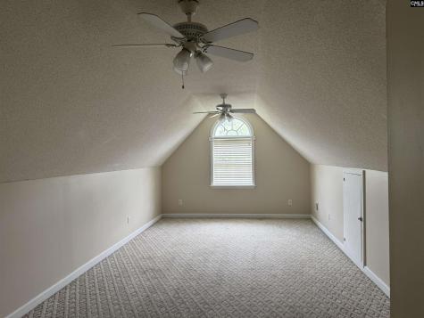 116 Rum Gully Lane Chapin SC 29036