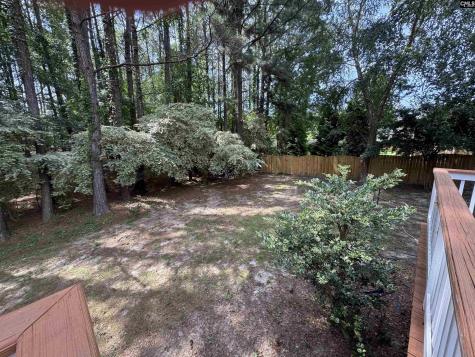 116 Rum Gully Lane Chapin SC 29036