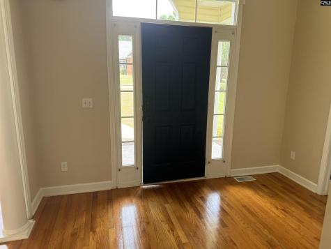 116 Rum Gully Lane Chapin SC 29036