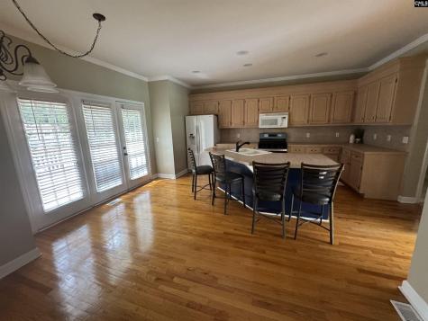 116 Rum Gully Lane Chapin SC 29036