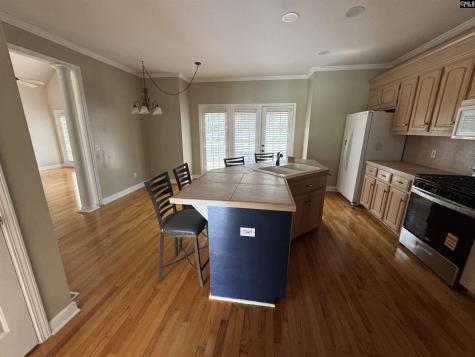 116 Rum Gully Lane Chapin SC 29036