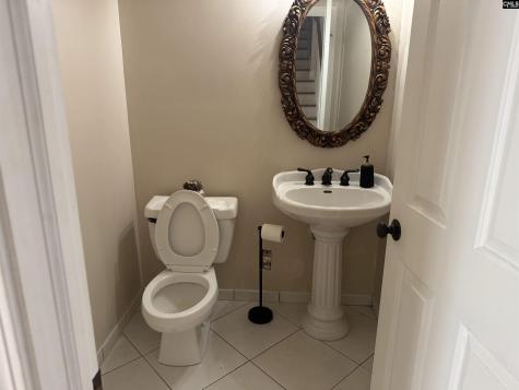 116 Rum Gully Lane Chapin SC 29036