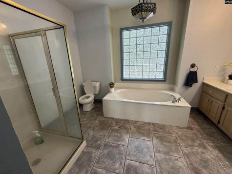 116 Rum Gully Lane Chapin SC 29036