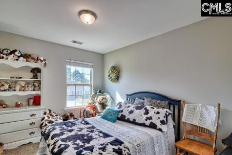 455 Crassula Drive Lexington SC 29073-7037