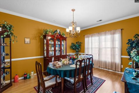 320 Baccharis Drive Columbia SC 29229