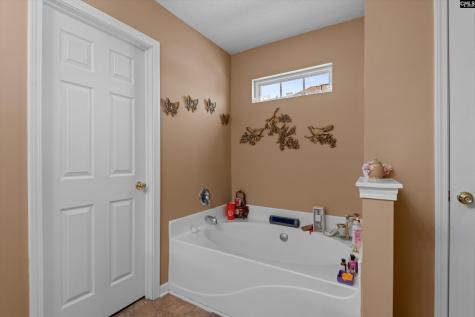 320 Baccharis Drive Columbia SC 29229