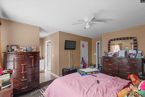 320 Baccharis Drive Columbia SC 29229