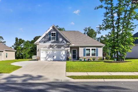 176 Southern Lake Court Camden SC 29020