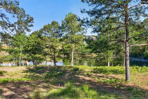 176 Southern Lake Court Camden SC 29020