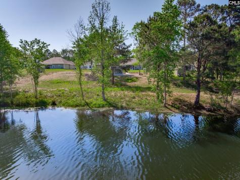 176 Southern Lake Court Camden SC 29020