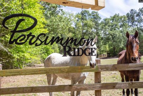 146 Williams Road Camden SC 29020-0000