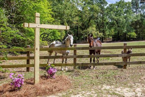 146 Williams Road Camden SC 29020-0000