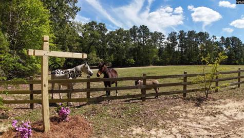 146 Williams Road Camden SC 29020-0000