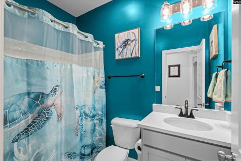 1176 Long Ridge Way Lexington SC 29073