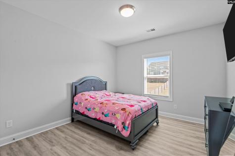 1176 Long Ridge Way Lexington SC 29073