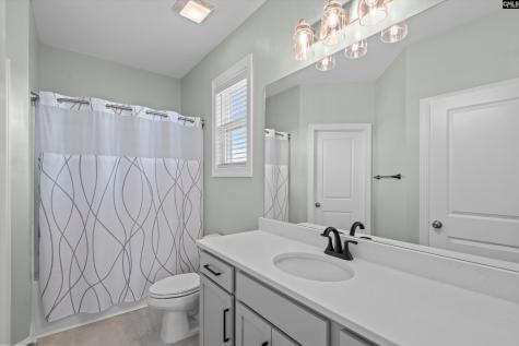 1176 Long Ridge Way Lexington SC 29073