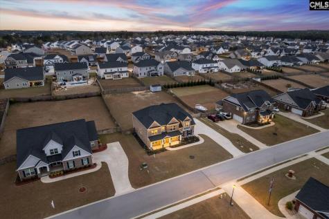 1176 Long Ridge Way Lexington SC 29073