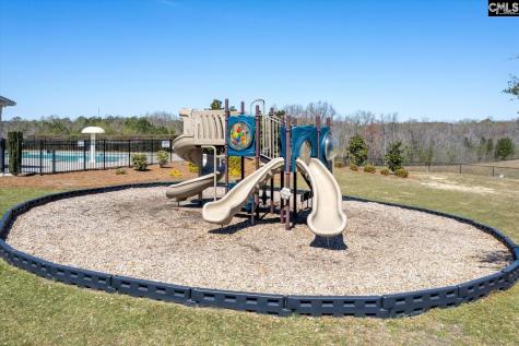 1176 Long Ridge Way Lexington SC 29073