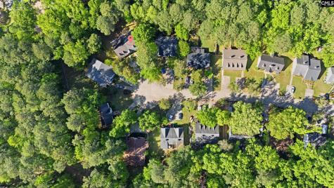 164 Thames Valley Court Irmo SC 29063