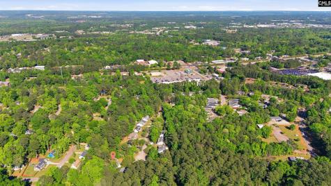 164 Thames Valley Court Irmo SC 29063