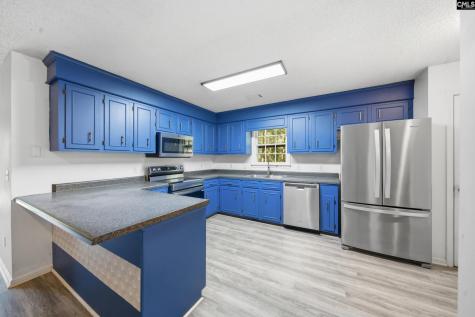 164 Thames Valley Court Irmo SC 29063