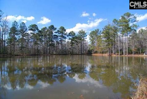 211 Stonington Drive Blythewood SC 29016