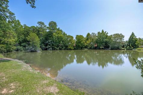 129 Wandering Brook Road Irmo SC 29036