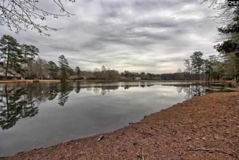 46 Woodwind Court Columbia SC 29209