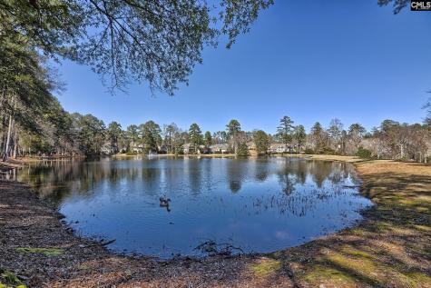 46 Woodwind Court Columbia SC 29209