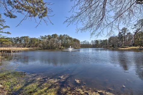 46 Woodwind Court Columbia SC 29209