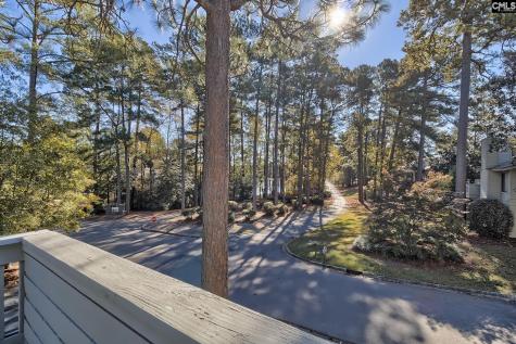 46 Woodwind Court Columbia SC 29209