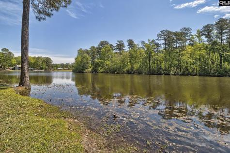 46 Woodwind Court Columbia SC 29209