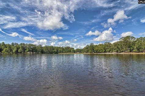 46 Woodwind Court Columbia SC 29209