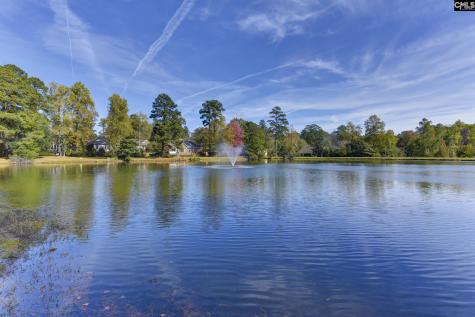 46 Woodwind Court Columbia SC 29209