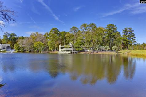 46 Woodwind Court Columbia SC 29209