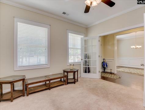 299 Oleander Mill Drive Columbia SC 29229