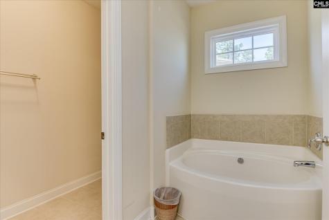 299 Oleander Mill Drive Columbia SC 29229