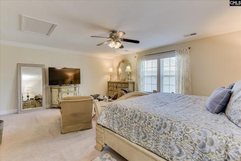 299 Oleander Mill Drive Columbia SC 29229